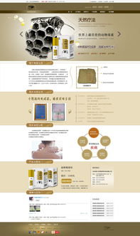 網頁設計指南 從初稿到專業(yè)作品的進階之路