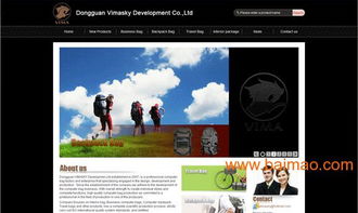 東莞箱包網(wǎng)站建設(shè)與設(shè)計的全方位指南